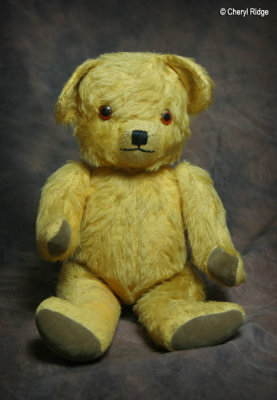 Deans bear