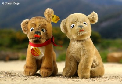 Steiff Mopsy dogs