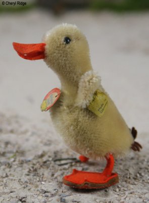 Steiff Duck