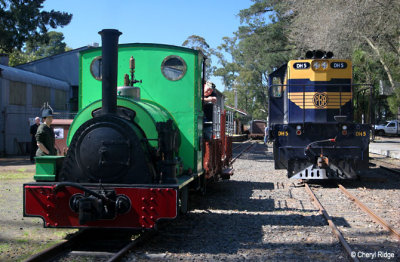 2091- green Peckett loco and DH5 at Emerald