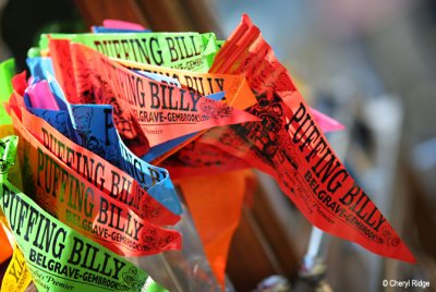 2099- Puffing Billy flags for sale