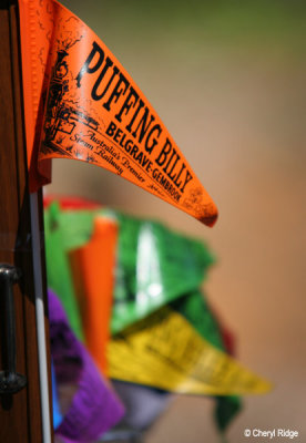 2103- Puffing Billy flags for sale