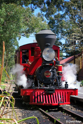 2125- red loco 861 at Menzies Creek