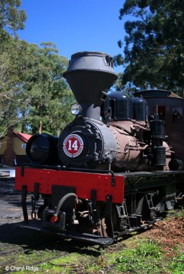 2141- No 14 at Menzies Creek