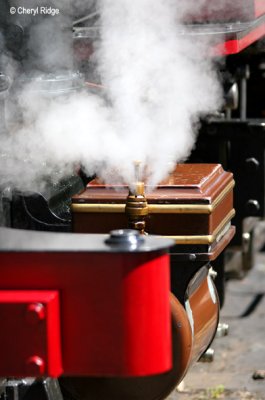 2143- steam from loco 861