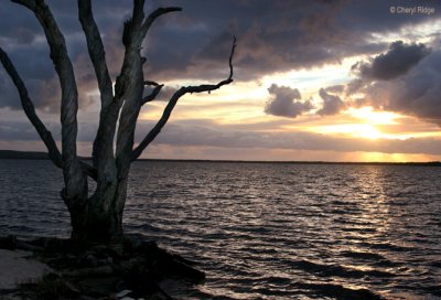 3092-boreen-point.jpg
