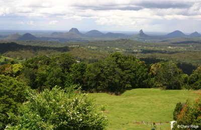 9644- Glasshouse Mountains from Mary Cairncross lookout