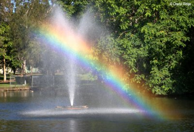 3160-bundy-bot-gdns.jpg