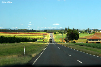 3322-windscreen-bundy.jpg