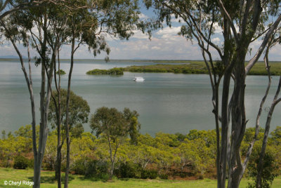 3352 - view from cafe at River Heads