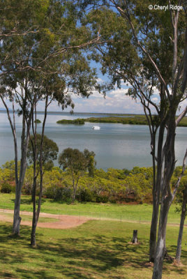 3353 - view from cafe at River Heads