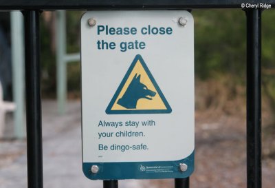 3380- dingo warning signs near resort