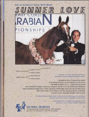 Arabian Horse World magazine - photo in ad