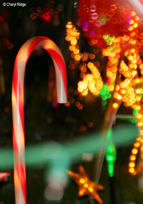 4876-christmas-lights.jpg