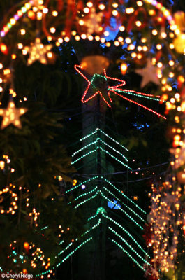5186-christmas-lights.jpg