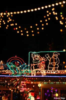 5275-christmas-lights.jpg