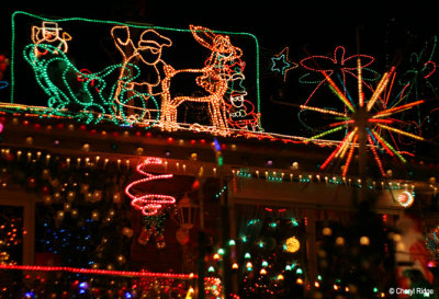 5291-christmas-lights.jpg