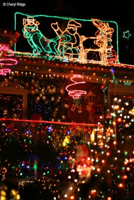 5301-christmas-lights.jpg