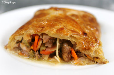 5617-  savoury chicken and vegetable pastry