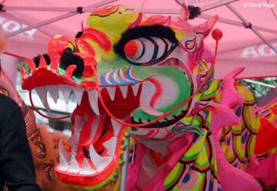 6058-dragon.jpg