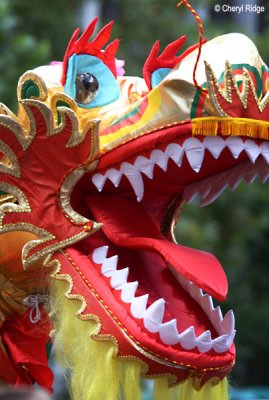 7910-dragon.jpg