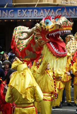 7942-dragon.jpg