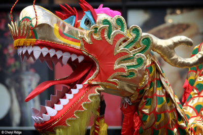 7974-dragon.jpg
