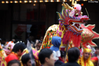 7979-dragon.jpg