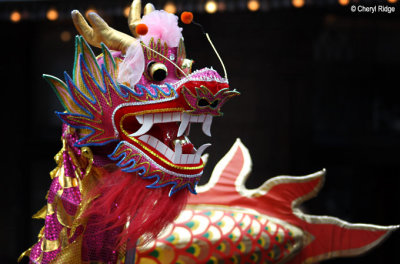 Chinese New Year - Dragons