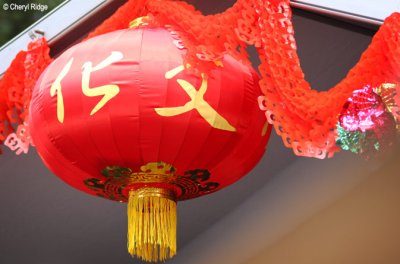 7985-lantern.jpg