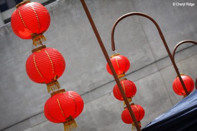 8190-lantern.jpg