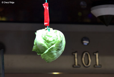 8103-cny-lettuce.jpg