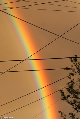 2019b- urban rainbow