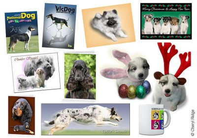 dog themed photography and photo art