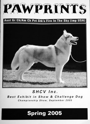 Siberian Husky specialty shows (SHCV)