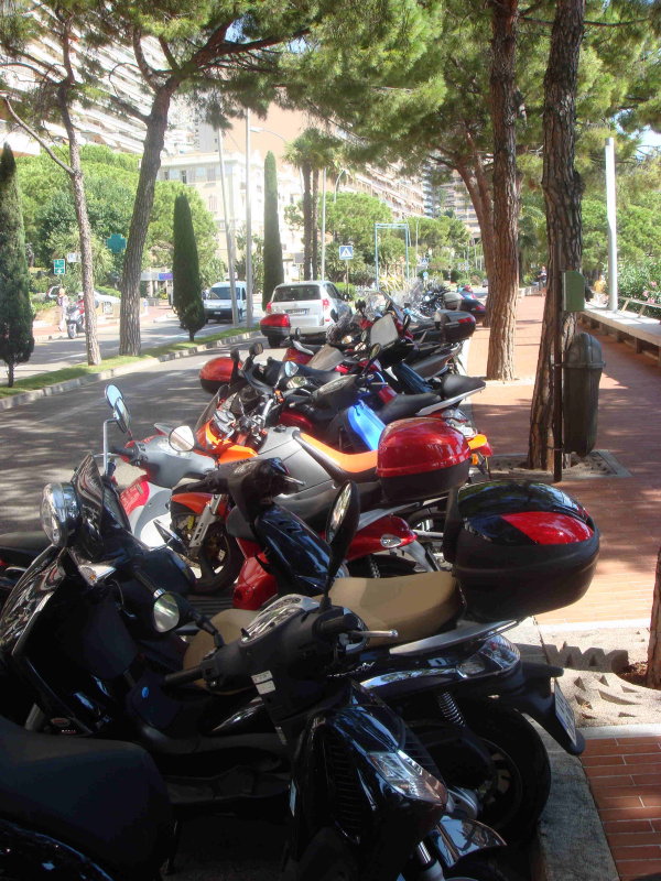 DSC01072.JPG