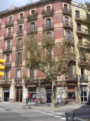 DSC01005.JPG