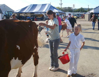 fair15.jpg