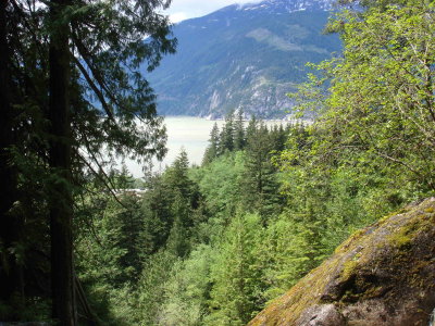 Shannon Falls