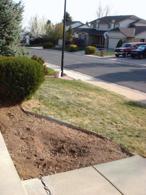 yard