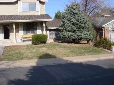 yard