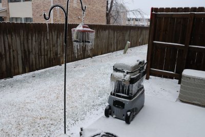 ice everywhere.jpg