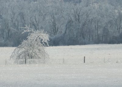 ice.jpg