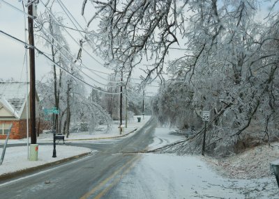 Lewis Ave.jpg