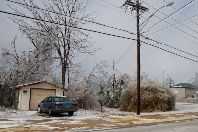 downed lines.jpg