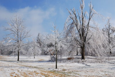 wilson park.jpg