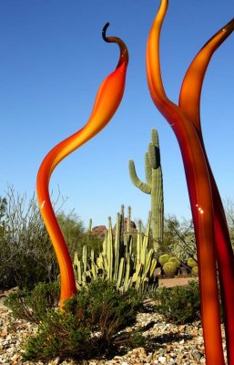 Flamingoes Frame Cactus