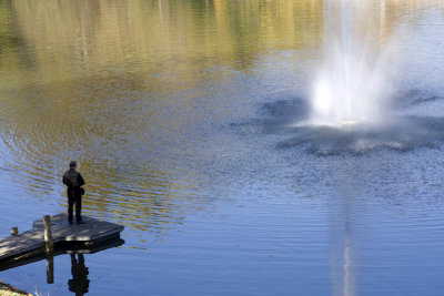 Palmer House Pond