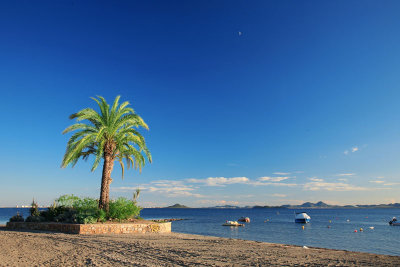 spain palm trees and boats 4.jpg