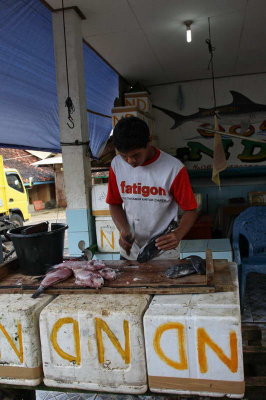Collection of Photos of Friend to Ujung Genteng